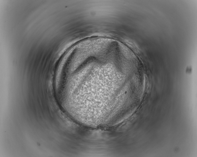 X0000090500098200707280009