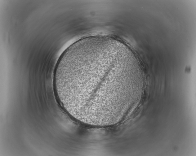 X0000090500100200707280009