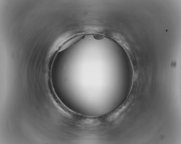 X0000090500101200707280009