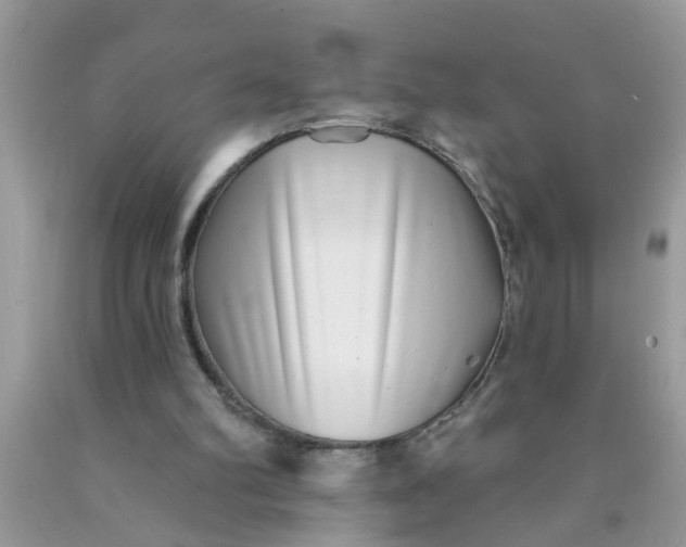 X0000090500102200707280009