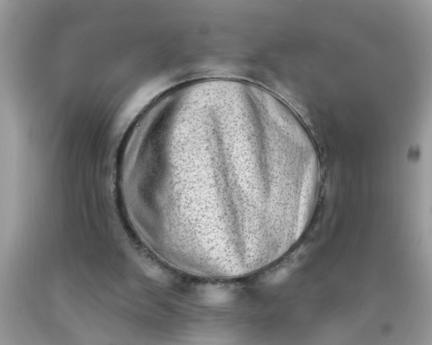 X0000090500103200707280009