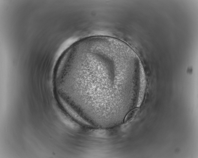 X0000090500104200707280009