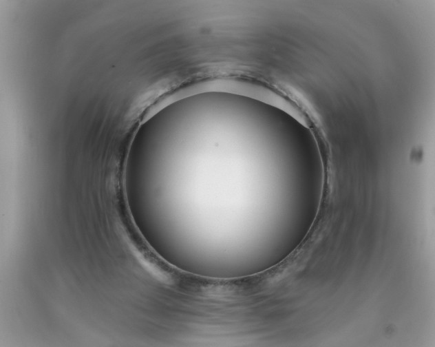 X0000090500105200707280009