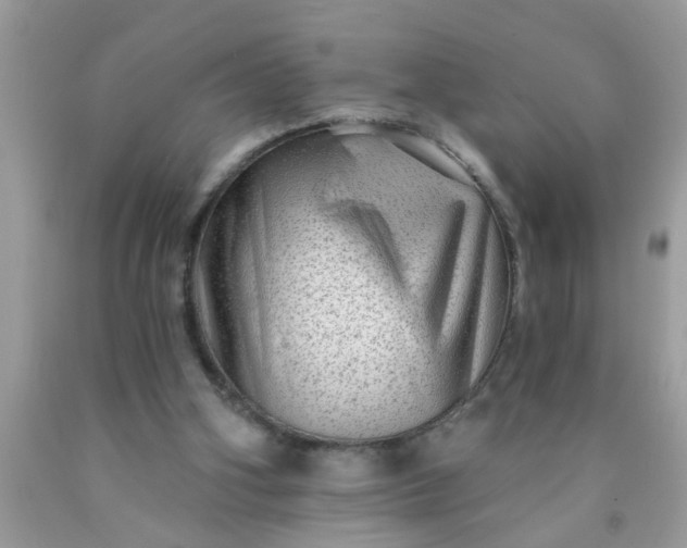 X0000090500106200707280009