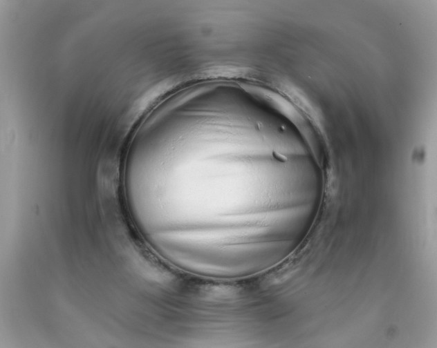 X0000090500107200707280009