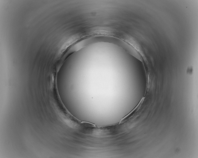 X0000090500109200707280009