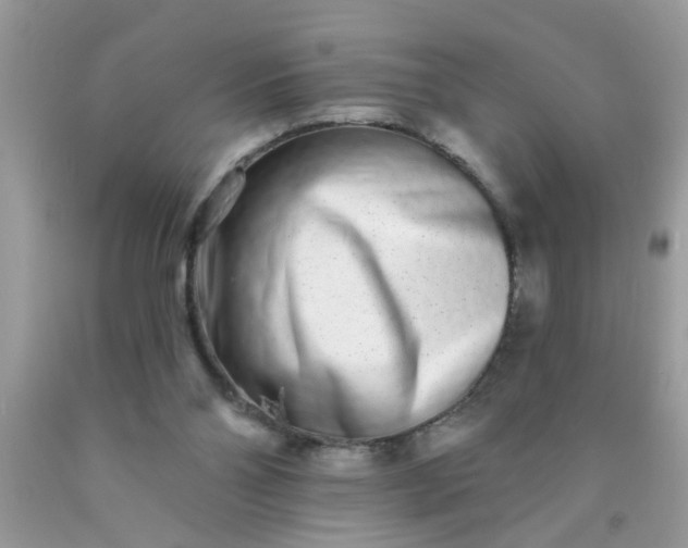 X0000090500110200707280009