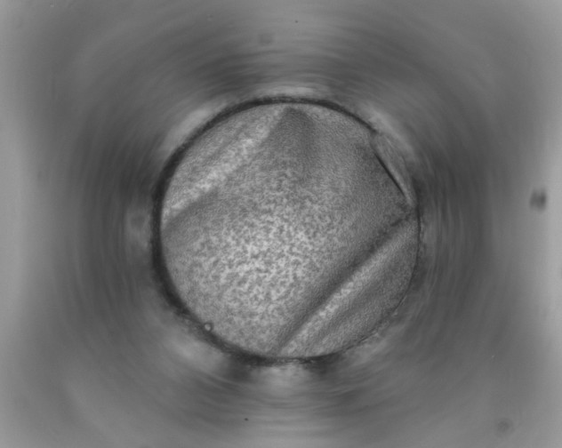 X0000090500112200707280009