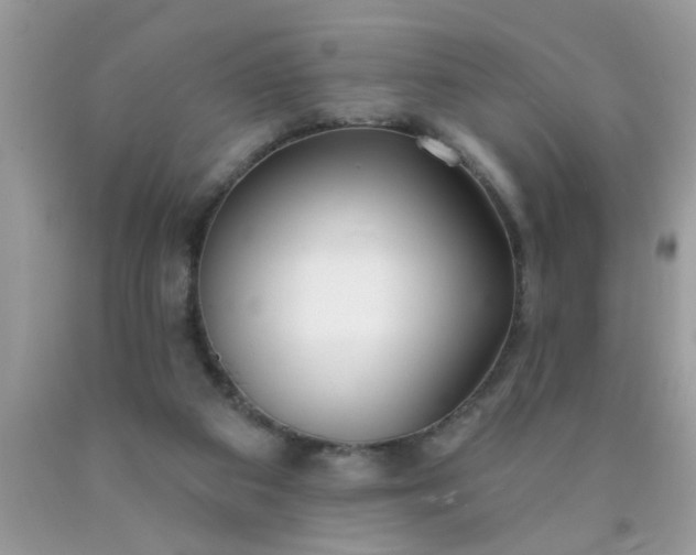 X0000090500113200707280009