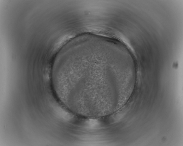 X0000090500114200707280009