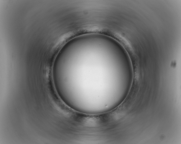 X0000090500115200707280009