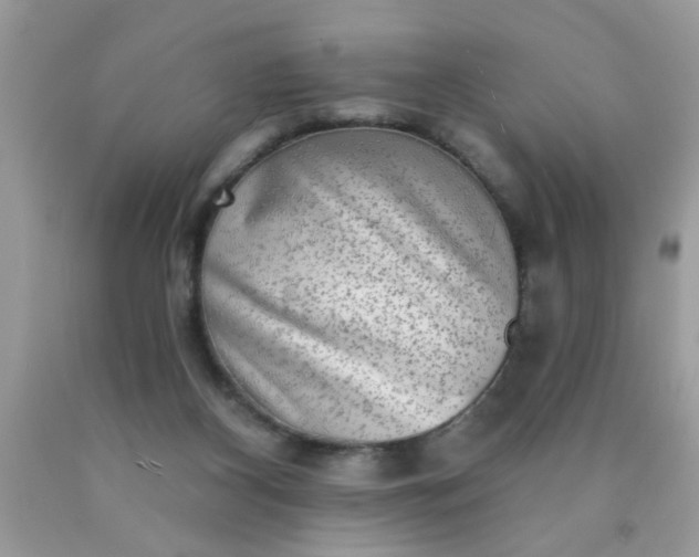 X0000090500116200707280009