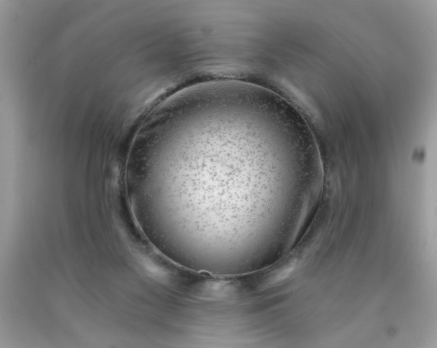 X0000090500117200707280009