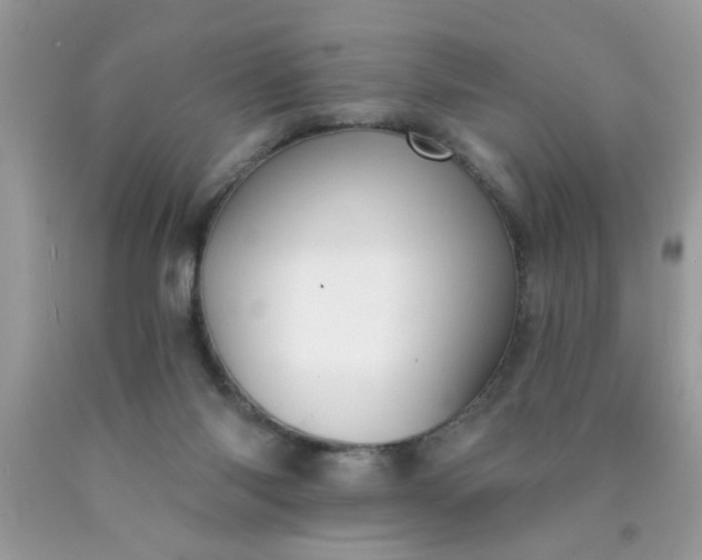 X0000090500118200707280009