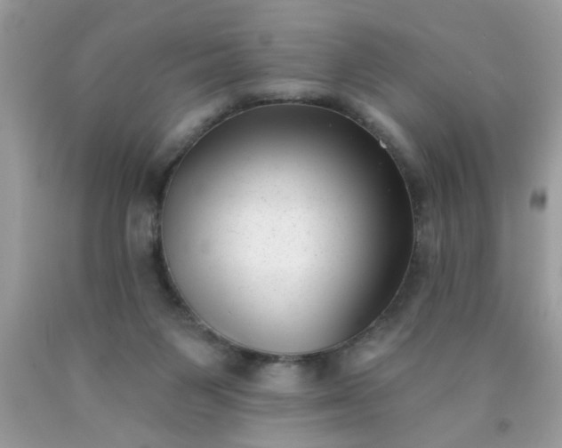 X0000090500119200707280009