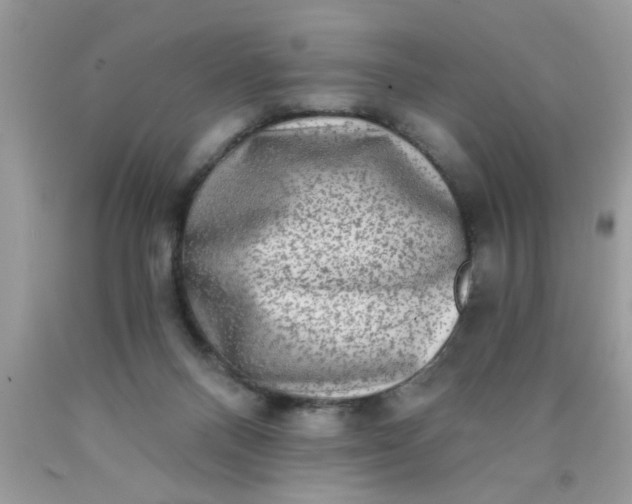 X0000090500120200707280009