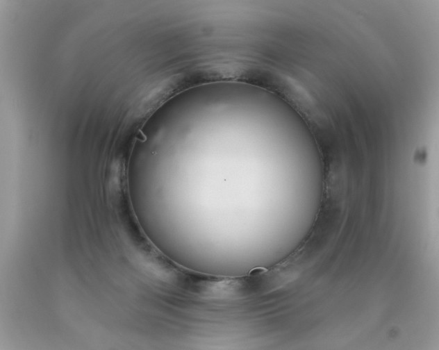 X0000090500122200707280009