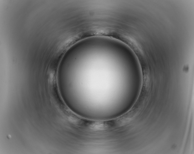 X0000090500123200707280009