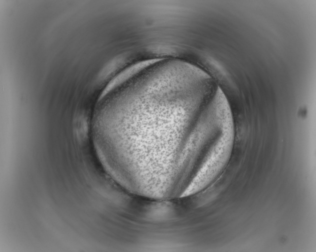 X0000090500124200707280009