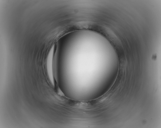 X0000090500125200707280009