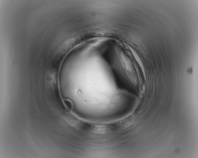 X0000090500127200707280009