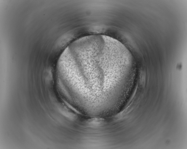 X0000090500128200707280009