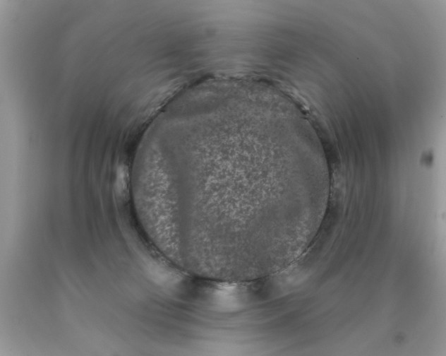 X0000090500130200707280009