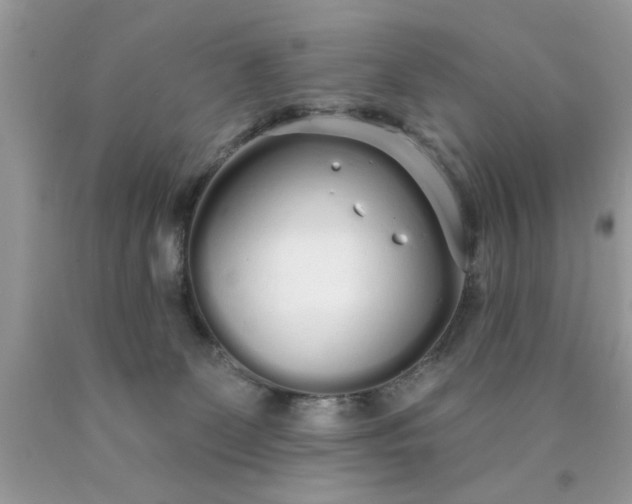 X0000090500131200707280009