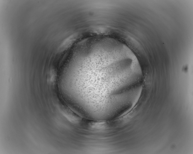 X0000090500132200707280009