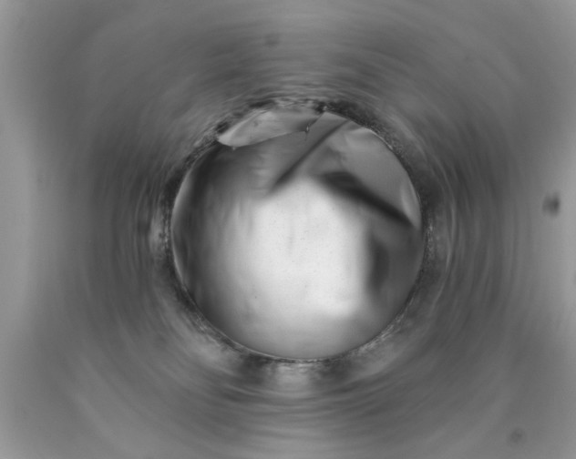 X0000090500134200707280009