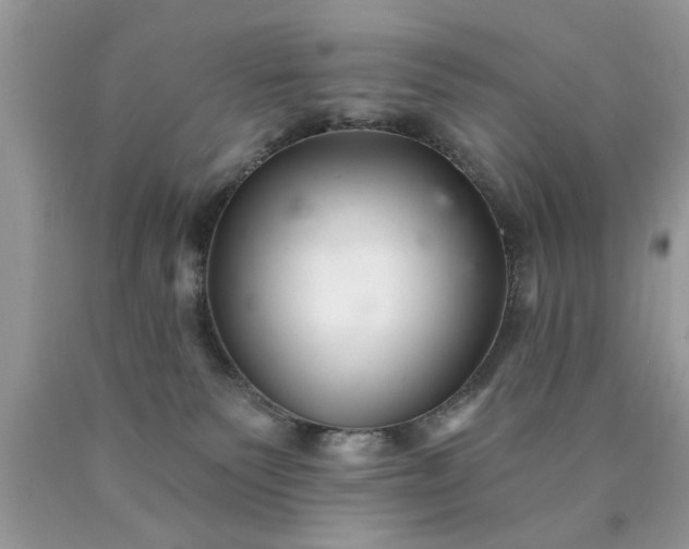 X0000090500135200707280009