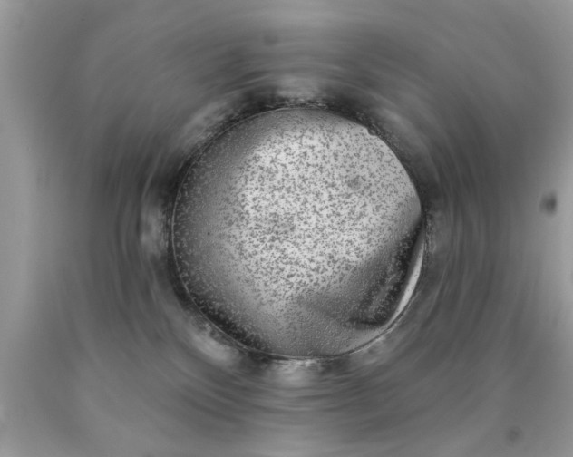 X0000090500136200707280009