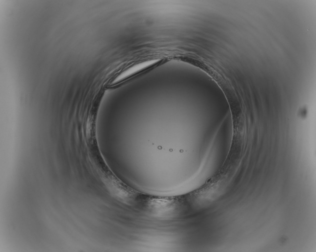 X0000090500139200707280009