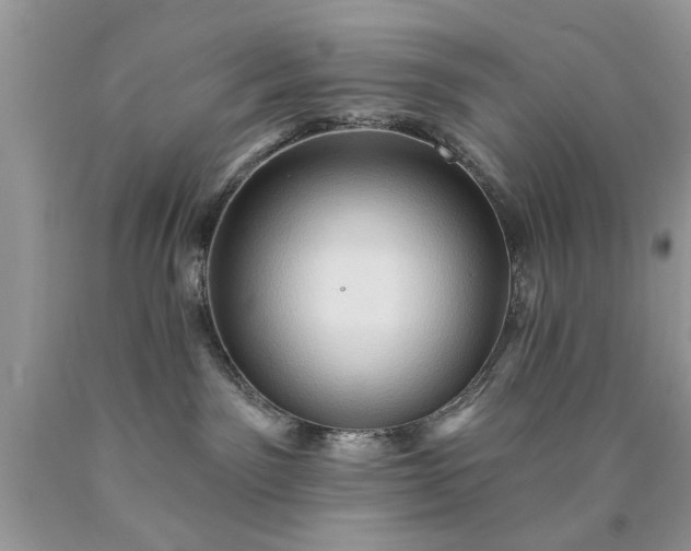 X0000090500141200707280009