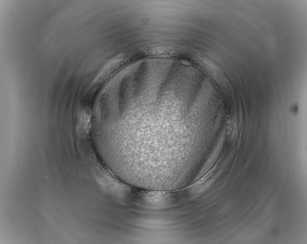 X0000090500142200707280009