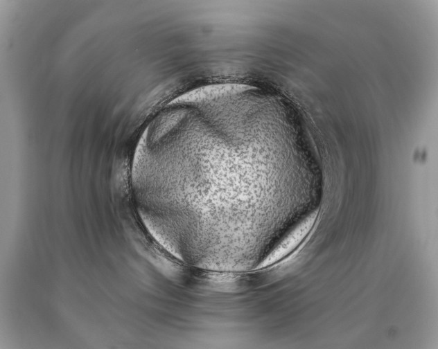 X0000090500144200707280009