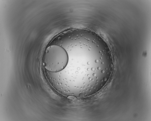 X0000090500145200707280008