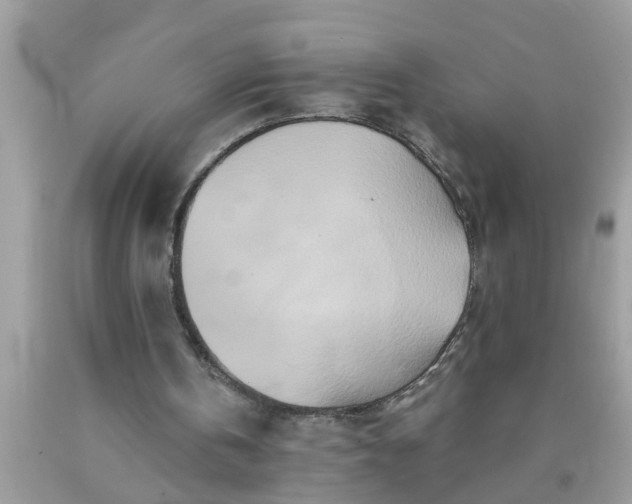 X0000090500146200707280008