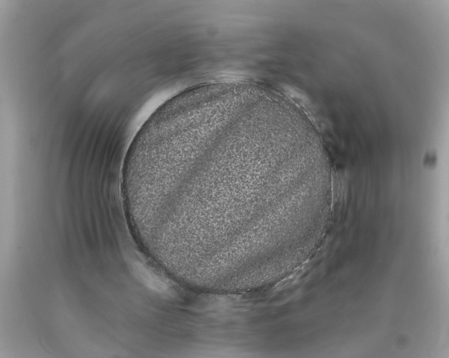 X0000090500147200707280008