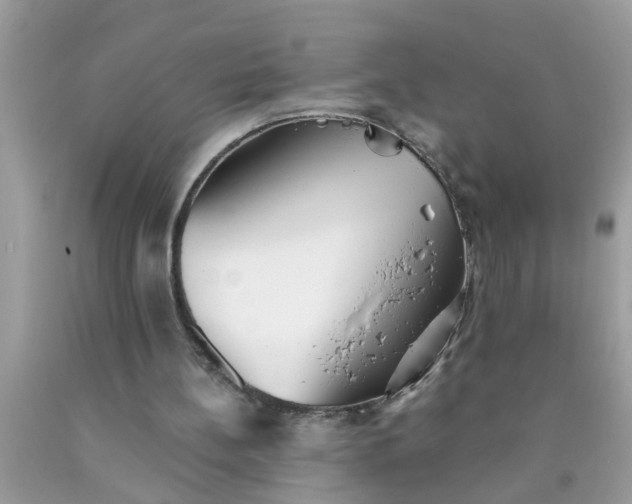 X0000090500148200707280008