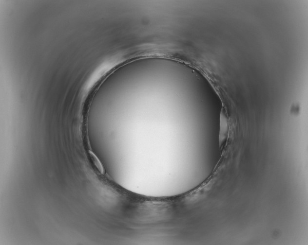 X0000090500150200707280008