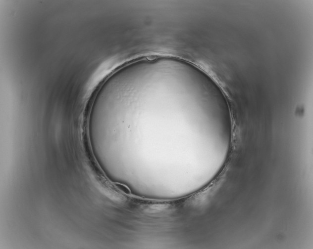 X0000090500151200707280008