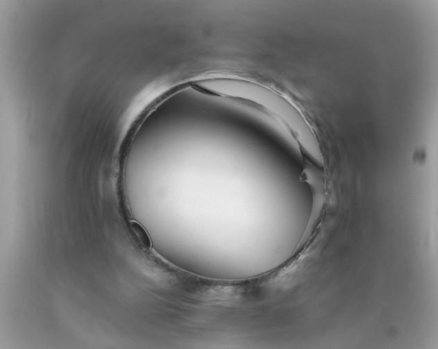 X0000090500152200707280008