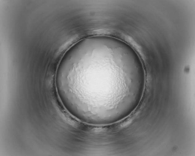 X0000090500153200707280008