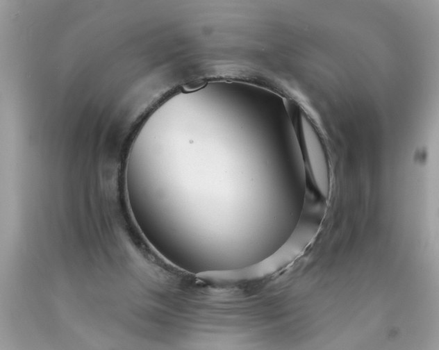 X0000090500154200707280008