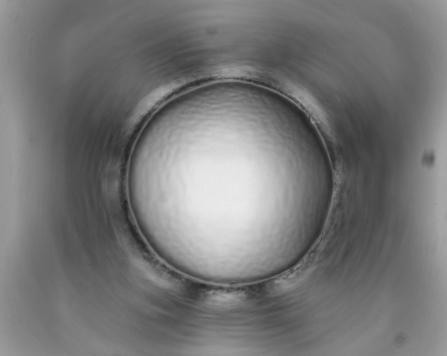 X0000090500155200707280008