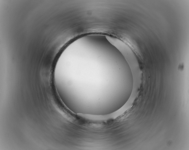 X0000090500156200707280008