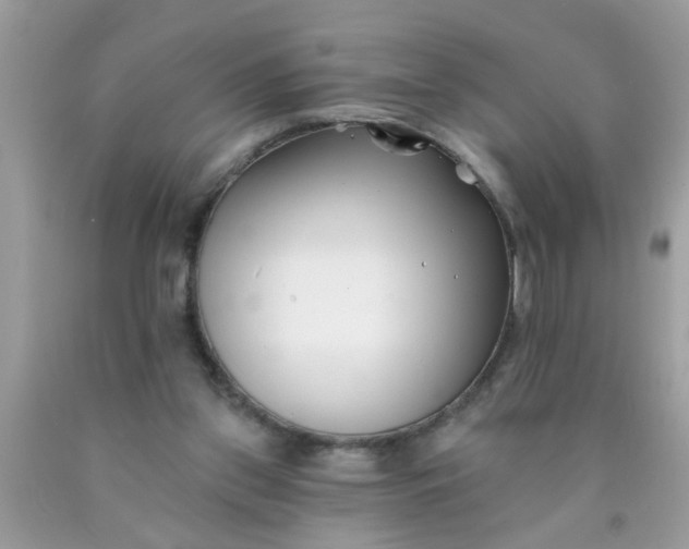 X0000090500157200707280008