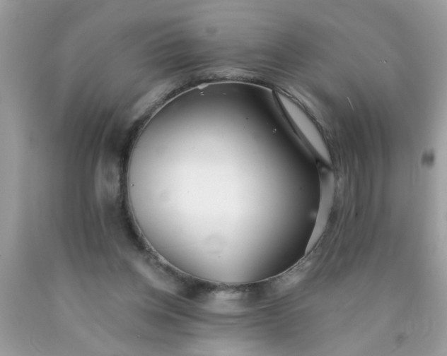 X0000090500158200707280008