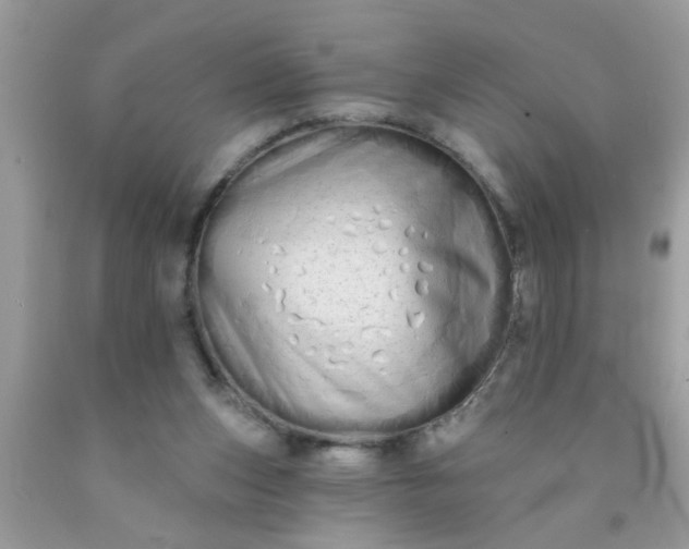 X0000090500159200707280008